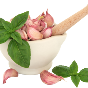 Garlic PNG