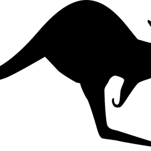 Kangaroo PNG