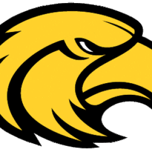 Eagle logo PNG image, free download