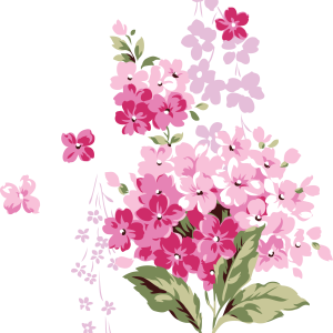 Lilac PNG