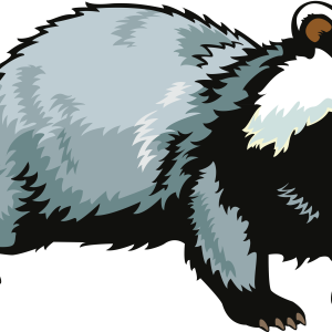 Badger PNG