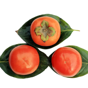 Persimmon PNG
