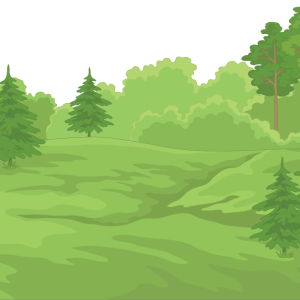 Forest PNG