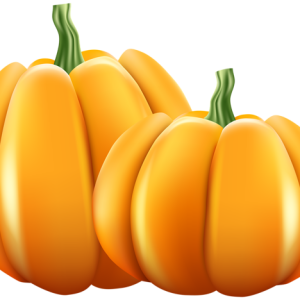 Pumpkin PNG
