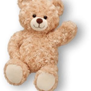 Teddy bear PNG
