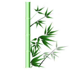 Bamboo PNG