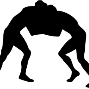 Wrestling PNG
