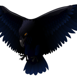 Raven PNG