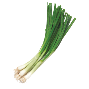 Leek PNG