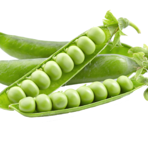 Pea PNG