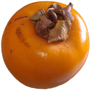Persimmon PNG