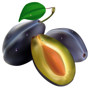 Plum PNG image