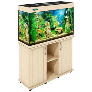 Aquarium PNG