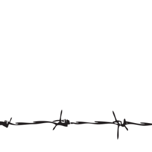 Barbwire PNG