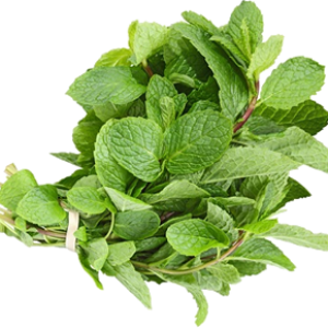 Pepermint PNG