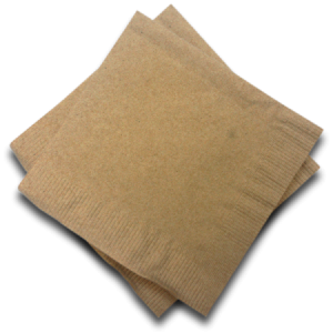 Napkin PNG