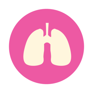 Lungs PNG