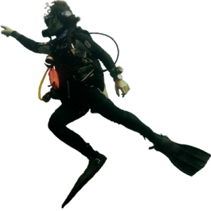 Diver PNG