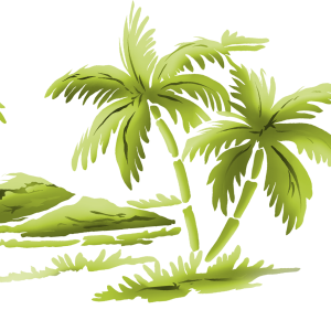 Palm tree PNG
