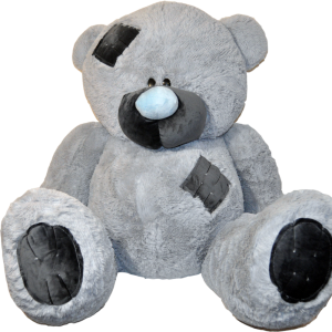 Teddy bear PNG