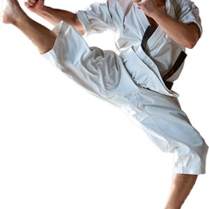 Karate PNG