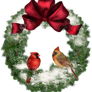 Christmas wreath PNG