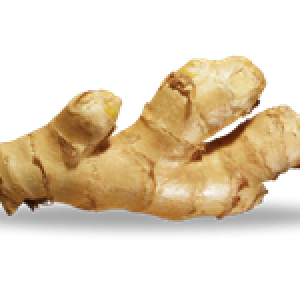 Ginger PNG