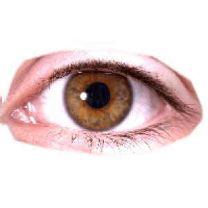 Eye PNG