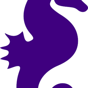Seahorse PNG