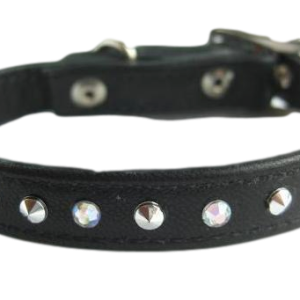 Dog collar PNG