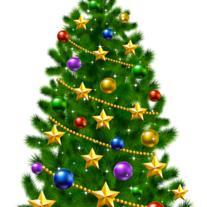Christmas tree PNG