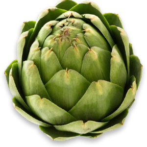 Artichoke PNG