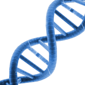 DNA PNG