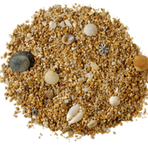Sand PNG