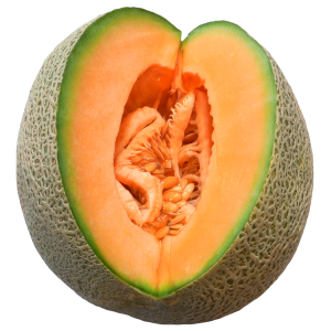 Melon PNG