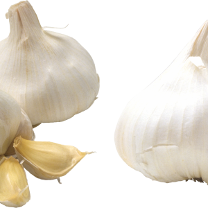 Garlic PNG