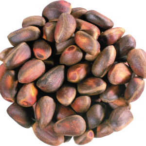 Pine nuts PNG