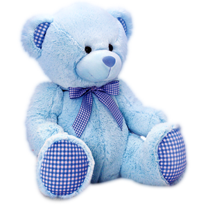 Teddy bear PNG