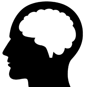 Brain PNG