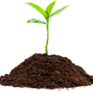 Soil PNG