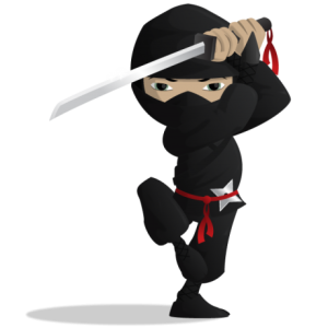 Ninja PNG