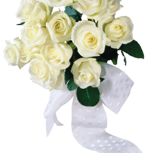 White roses PNG image