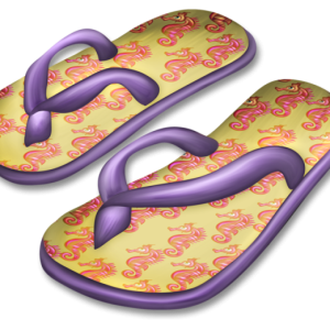 Flip-flops PNG