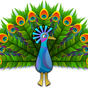 Peacock PNG
