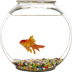 Aquarium PNG