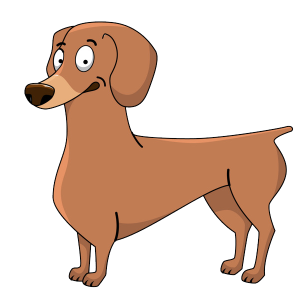 Dachshund PNG