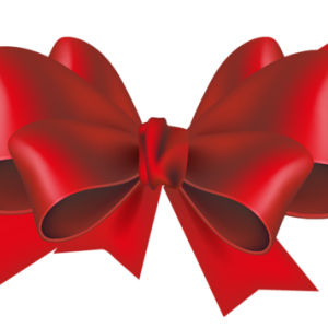 Bow PNG image