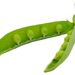 Pea PNG