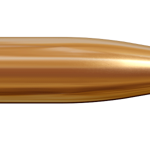 Bullets PNG image