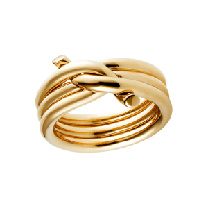 gold ring PNG
